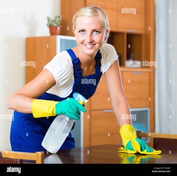 HOUSE CLEANING SERVICES