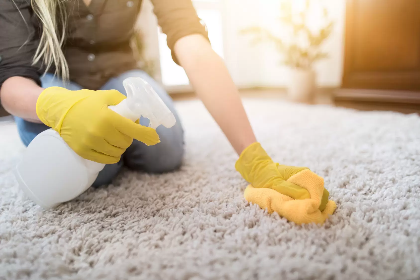 MAID SERVICES