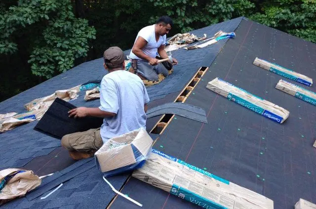 ROOF REPAIR